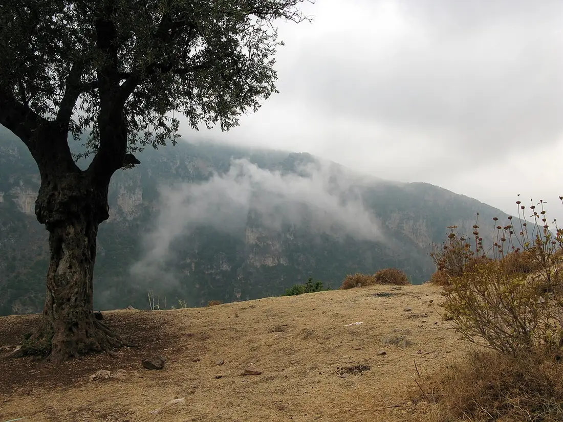 Mist drifting through the Qadisha Valley near the Monastery of Qozhaya