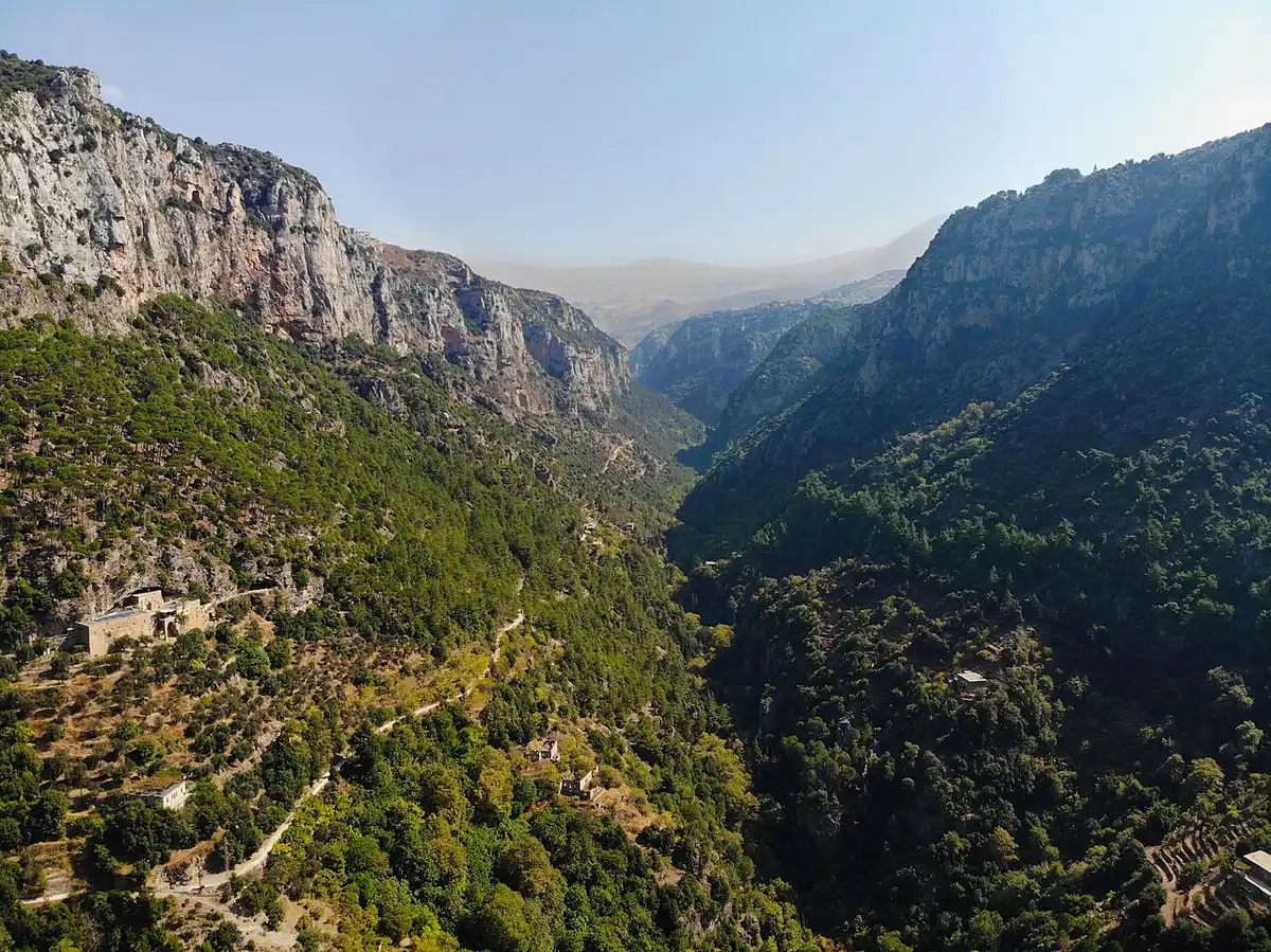 Aerial view over the Qadisha Valley near Qannoubine: steep green cliffs and a monastery tucked into the rock. Photo by Evan Williams, Wikimedia Commons